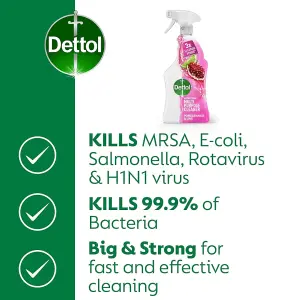 Dettol Power Fresh Pomegranate Antibacterial Multi Purpose Trigger Spray 1 Litre (Pack of 3)