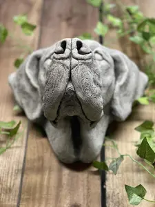 Adorable Great Dane Head Stone Wall Plaque