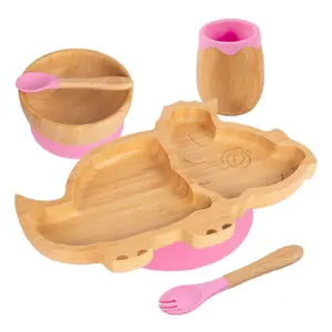 5pc Bamboo Dinosaur Baby Weaning Set - Pink