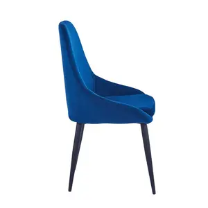 Fern Upholstered Dining Chair (Set of 2) Blue