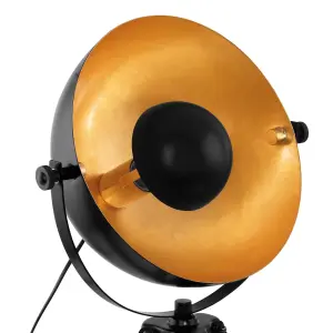 EGLO Table Lamp Black/Gold COVALEDA (21)