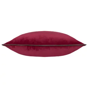 Paoletti Meridian Velvet Polyester Filled Cushion