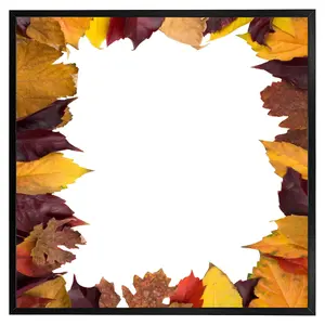 Orange & purple autumn (Picutre Frame) / 30x30" / Brown