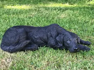 Laying Black Labrador figurine, large (44cm long) realistic home or garden ornament or memorial