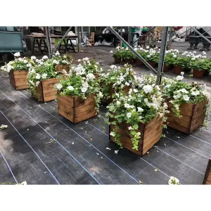 Traditional Large Square Planter x 2