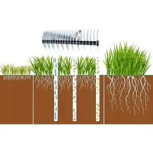 Lawn Aerator Scarifier Head, Effective Manual Lawn Grass Soil Maintenance, Hand Dethatching Rake, Moss Removal Garden Tool