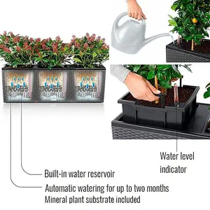 LECHUZA TRIO Cottage 30 Granite Self-watering Planter Plant Pot with Water Level Indicator H34 L100 W32 cm, 3x14L