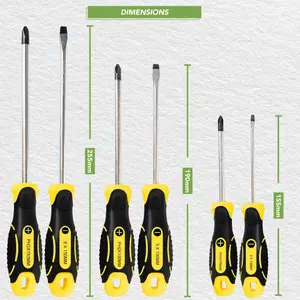 BLOSTM Screwdriver Set - 6 Pieces