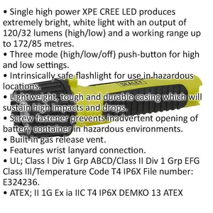 High Power Flashlight - LED - Intrinsically Safe - Battery Powered