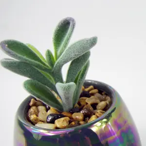 15cm Set of Three Grey White Mix Ceramic Mini Planters with Artificial Succulent Plants