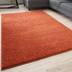 Myshaggy Collection Living Room Rugs Solid Design  Terra