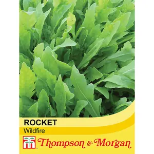 Salad Leaves Rocket Wildfire 1 Seed Packet (500 Seeds)