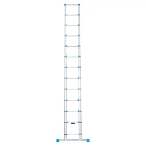 Mac Allister 13 tread Telescopic Ladder