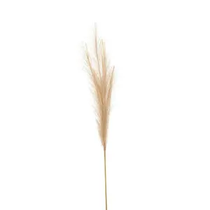 Bleached Faux Pampas Grass Stem