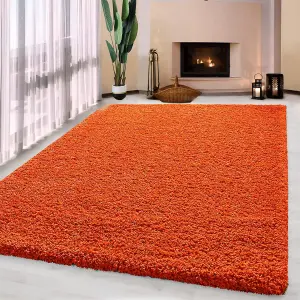 Luxurious Shaggy Rugs Soft Extra Thick Area Rugs Heavy 5cm Dense Pile for Living Room Bedroom Hallway (Orange, 80 x 150cm)