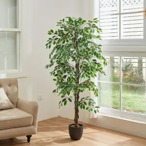 180cm H Garden Decoration Artificial Green  Ficus with Pot