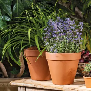 Verve Laleh Terracotta Plant pot (Dia) 13.1cm, (H)11.3cm, 1L