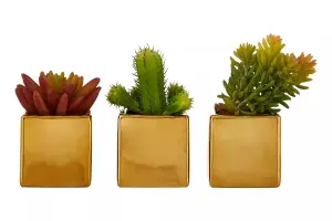 Mini Succulents Fiori with Gold Pot - Set of 3 Artificial Plant Foliage