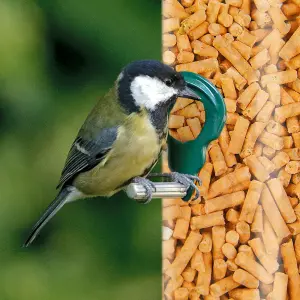 5kg SQUAWK Insect Suet Pellets - Quality High Energy Garden Wild Bird Feed