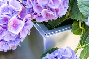 Primrose Garden Zinc Tall Trough Planter with Insert Silver 95cm