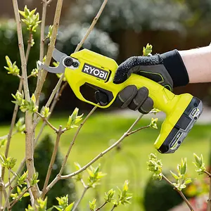 Ryobi ONE+ Secateurs 18V RY18SCA-120 2.0Ah Kit