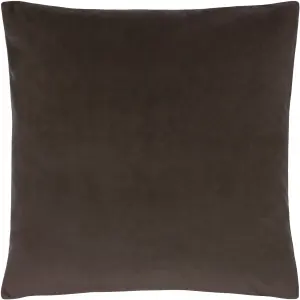 Paoletti Sunningdale Velvet Feather Rich Cushion