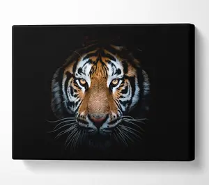 Tiger In The Dark Canvas Print Wall Art - Medium 20 x 32 Inches