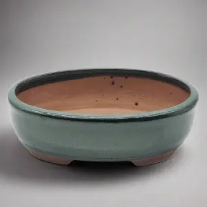 18cm Glazed Bonsai Pot - Oval - 18cm x 15cm x 5cm - Green