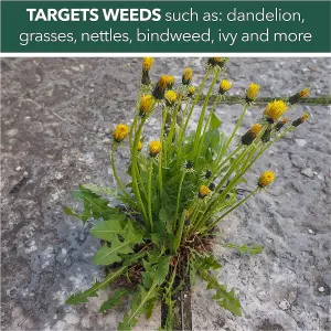 Fast Acting Weedkiller Weed Gone 5L With Long Hose Trigger