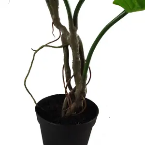 Artificial Monstera Plant Twisted Cheese Plant 60cm Leaf Design UK Realistic Botanik