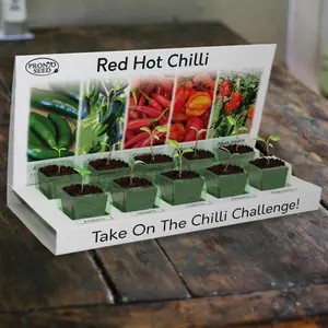 Pronto Seed Grow Your Own Chilli Plants Kit - 5 Chilli Seed Varieties - Gardening Gifts for Men and Women