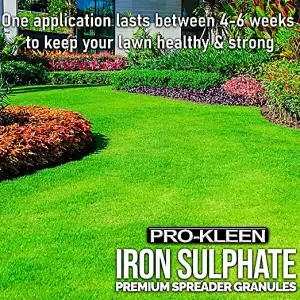 Pro-Kleen Iron Sulphate Spreader Granules, Covers up to 100m2, For Grass Green Up, Ferrous Sulphate Dry Powder 2x 2.5kg