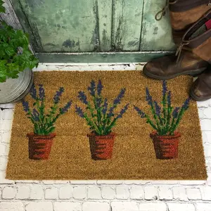 Sprouse Lavender Pots Coir Doormat