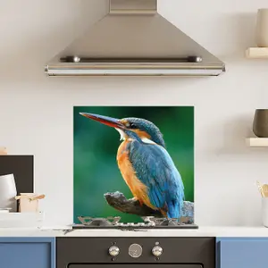 Premium 60cm  x 60cm 6mm Glass Kingfisher Kitchen Splashback Toughened Polished Edge