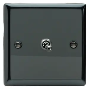 Varilight 1-Gang 10A 1- or 2-Way Toggle Switch Iridium