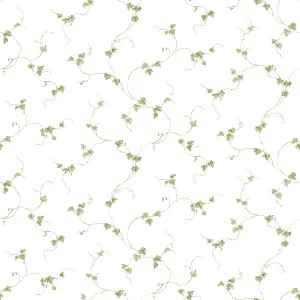 Galerie Fresh Kitchens 5 Green Cherries Smooth Wallpaper