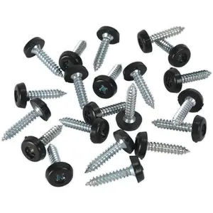 50 Pack Black Numberplate Screws - 4.8 x 24mm Plastic Enclosed Head Fasteners