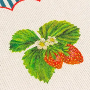 Wylder Nature Strawberry Stripes Set of 4 Indoor/Outdoor Placemats