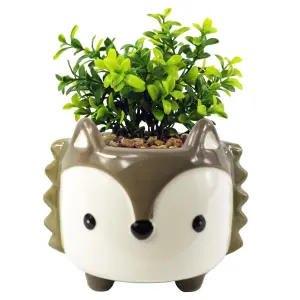 10cm Ceramic Grey Fox Planter Desktop Office Plant