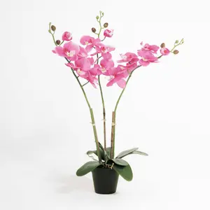 Blooming Artificial - 70cm / 2.25ft Pink Artificial Phalaenopsis Orchid