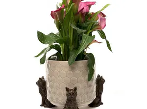 Sitting Cat Plant Pot Feet - Set of 3 - L7.5 x W5.5 x H11.5 cm