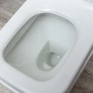 Danby Back to Wall Cermaic Toilet with Soft Close Seat, Quick Release Hinges & Anti Bacterial Glaze