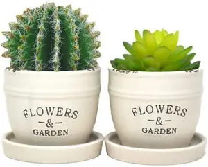 2 X Ceramic Flowers & Garden Pots With Succulents Plants Home Decor Xmas Gift