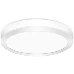 Extrastar 24W LED Surface Mount Integrated Ceiling Light Flush Light cold white