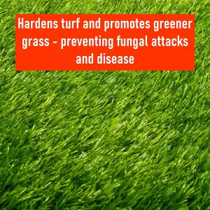 Ultima-Plus XP Iron Sulphate Lawn Tonic Liquid Fertiliser with Seaweed Extract - Provides Greener Grass and Hardens Turf 15L