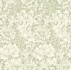 Hoopla Walls Chrysanthemum  Sage Green Smooth Matt Wallpaper