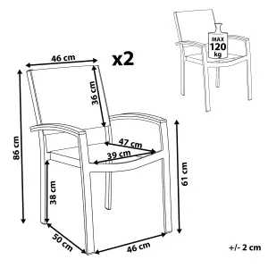 Set of 2 Garden Chairs PERETA Metal Grey