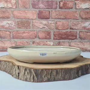 25cm Glazed Bonsai Pot - Oval - 25cm x 18cm x 4.5cm - White