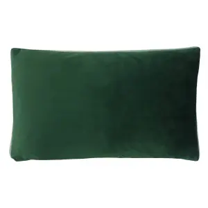 Paoletti Veadeiros Botanical Piped Feather Filled Cushion