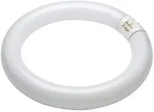 22w Circular Fluorescent Tube T9 Round G10Q Cool White 4000k 208mm Diameter